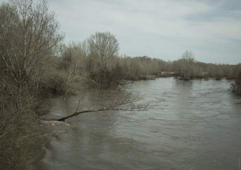 Уровень воды в Сырдарье превысил опасную отметку в Кызылординской области